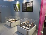 IMG_6839