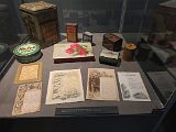 IMG_6853