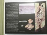IMG_6517