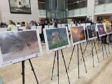 IMG_6256