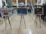 IMG_6257
