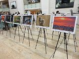 IMG_6260