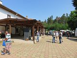 IMG_3740