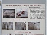 IMG_4256