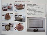 IMG_4257