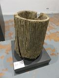 IMG_4410