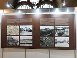 IMG_2456