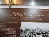 IMG_2468
