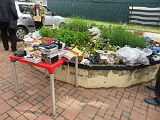 IMG_3304