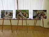 IMG_5384