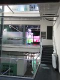 IMG_4379