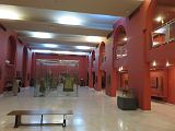 IMG_4659