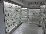 IMG_2540
