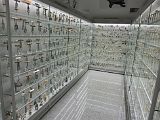 IMG_2541