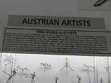 IMG_2550