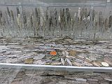IMG_2559