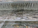 IMG_2560