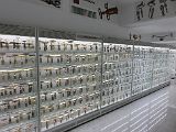 IMG_2563