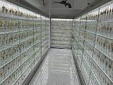 IMG_2576