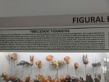 IMG_2578