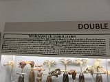 IMG_2580