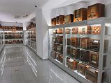 IMG_2612