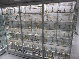 IMG_2729