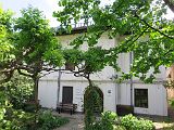 IMG_2773