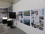 IMG_5341