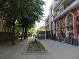 IMG_3754