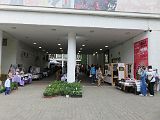 IMG_5487
