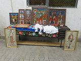 IMG_5494