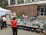 IMG_5501