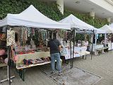 IMG_2939