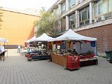 IMG_2949