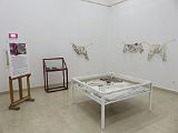 IMG_2433