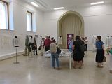 IMG_2449