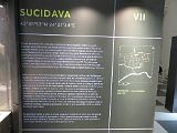 IMG_9272
