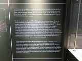 IMG_9275