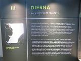 IMG_9279
