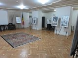 IMG_8990