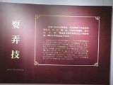 IMG_2388