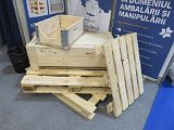 IMG_1148