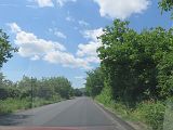 IMG_1879