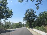 IMG_1884