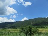 IMG_1902