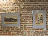 IMG_2366