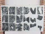 IMG_1009