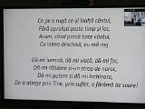 IMG_0946