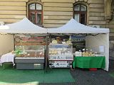 IMG_1806